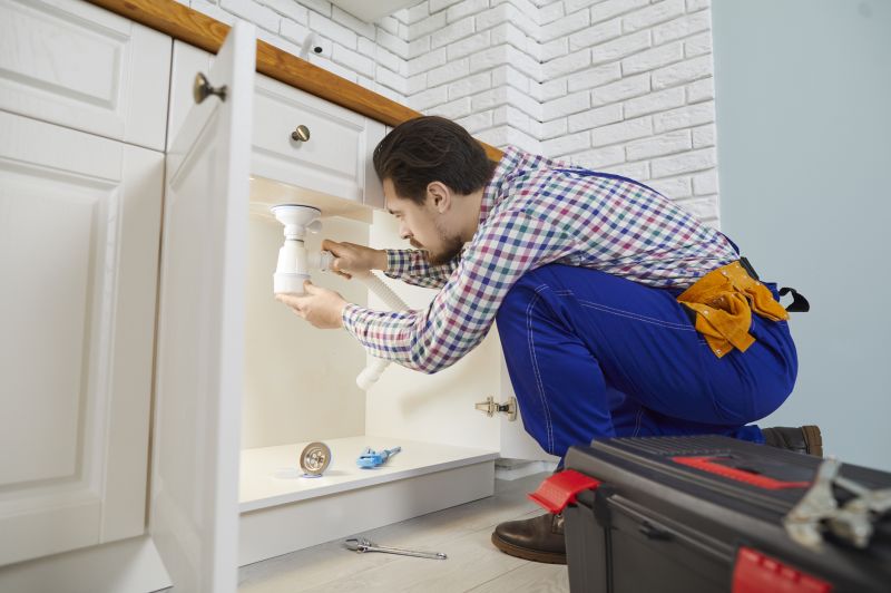 Clogged Sink Repair detail