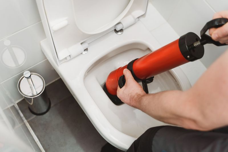 Toilet Plunging detail