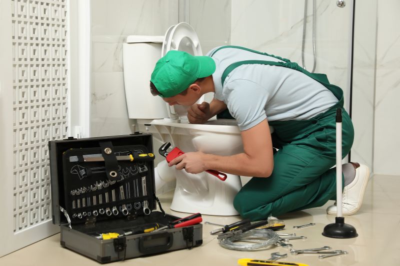 Toilet Repair detail